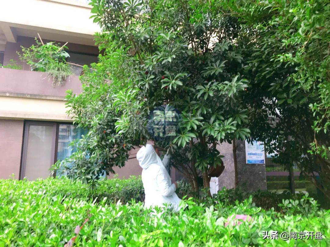 一套房产以516万拍卖成交,一套房子6000万