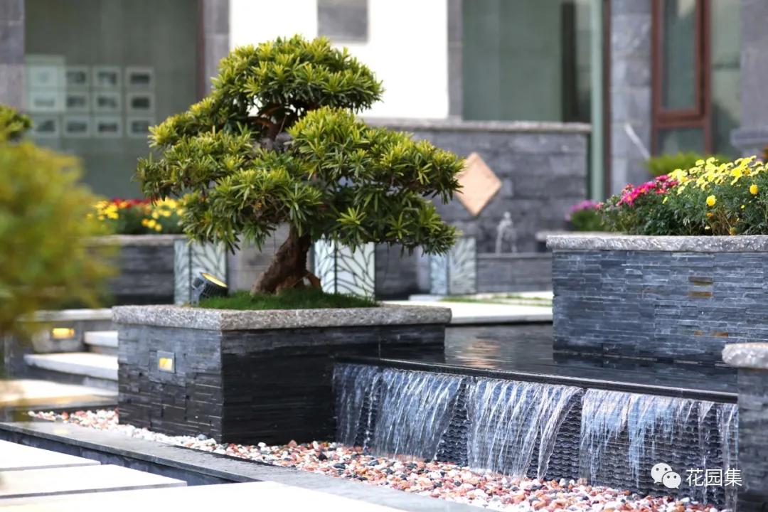 大理苍山下最艺术的院子,苍山大花园风景