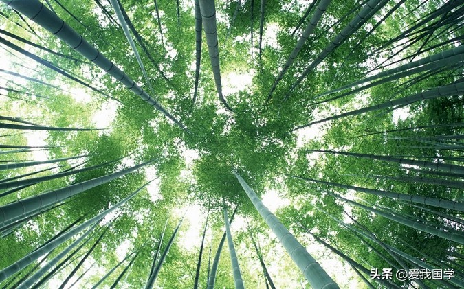 带有松竹梅的诗句,松竹梅雪的诗句