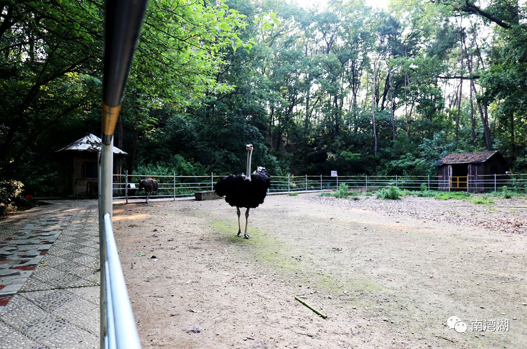 信阳十一假期旅游推荐,信阳南湾湖旅游攻略图