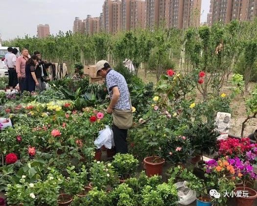 2018北京京郊大集,北京必逛的5个大集
