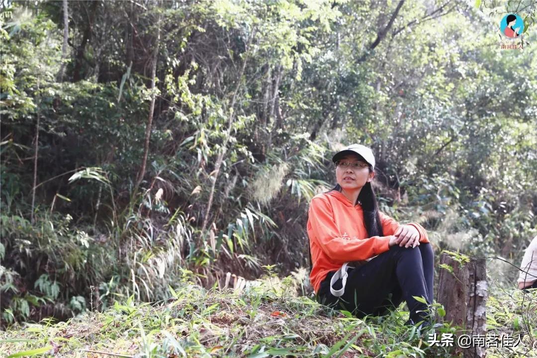 2022茶山行临沧云县,茶山行第一天