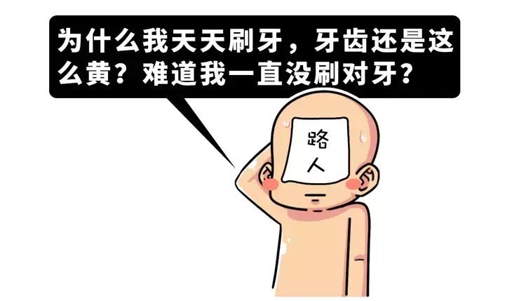 牙齿最坚硬的部分叫什么,怎么判断牙齿的磨损程度