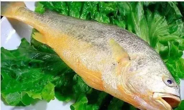 世界上最贵的海鲜十大排名及价格,全球公认的十大最贵海鲜