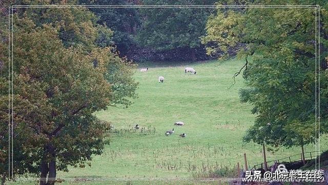 英国湖区景点排行榜,英国旅游推荐海边旅游景点