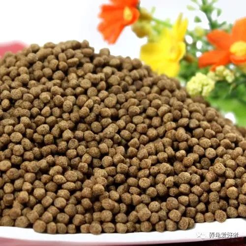 龟粮选择,剃刀龟龟粮选择