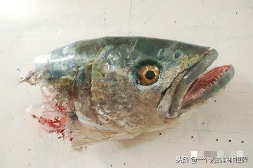 閫忚澶栨寕鐪熷疄浜嬩欢,閫忚澶栨寕鐪熺殑鍋囩殑