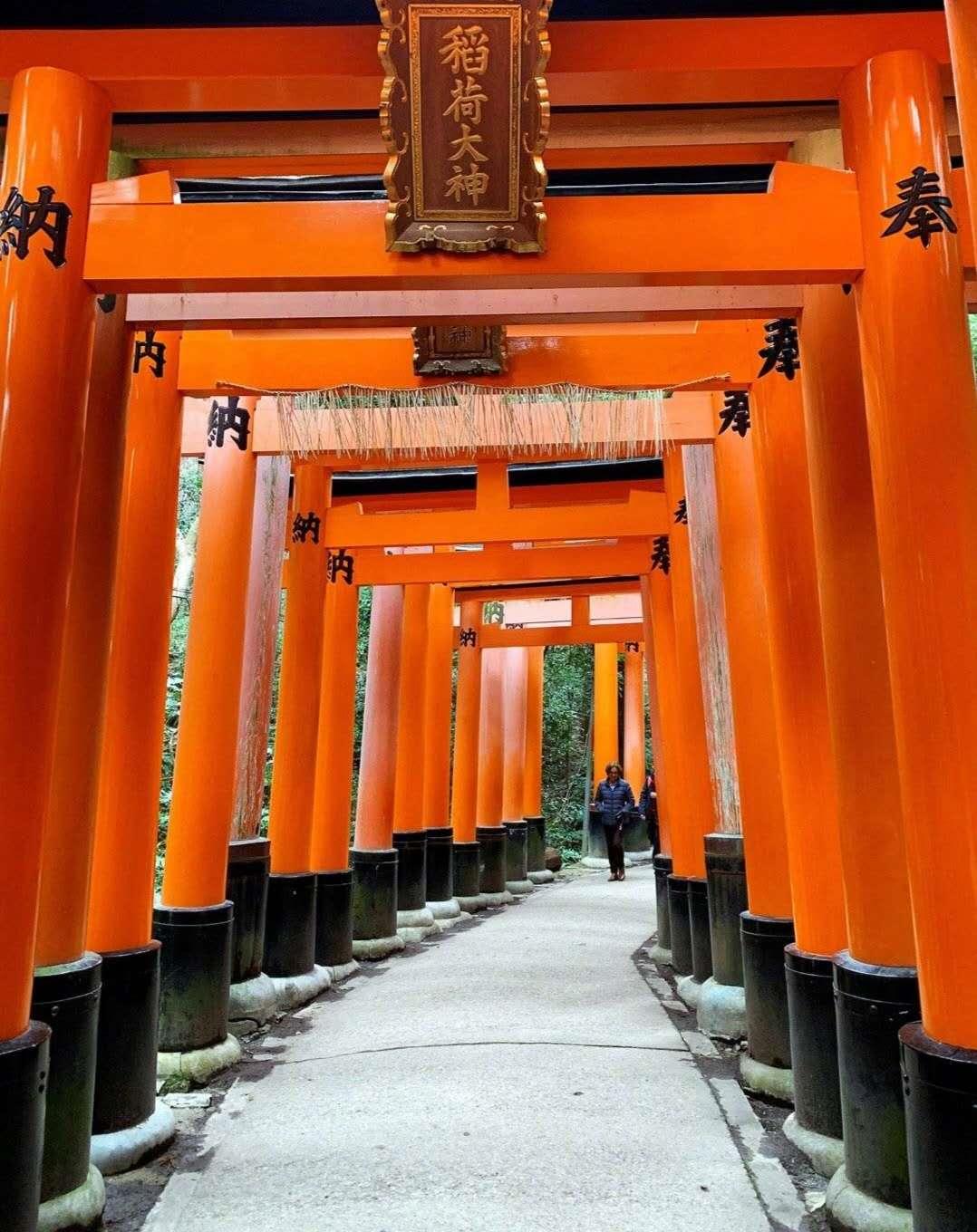 春季出游，第一次去日本，如何玩转大阪、京都、奈良，附购物攻略