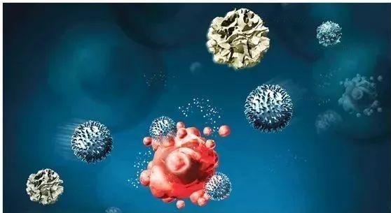 慢粒白血病腿出现疼痛怎么办,慢粒白血病关节疼痛后发热