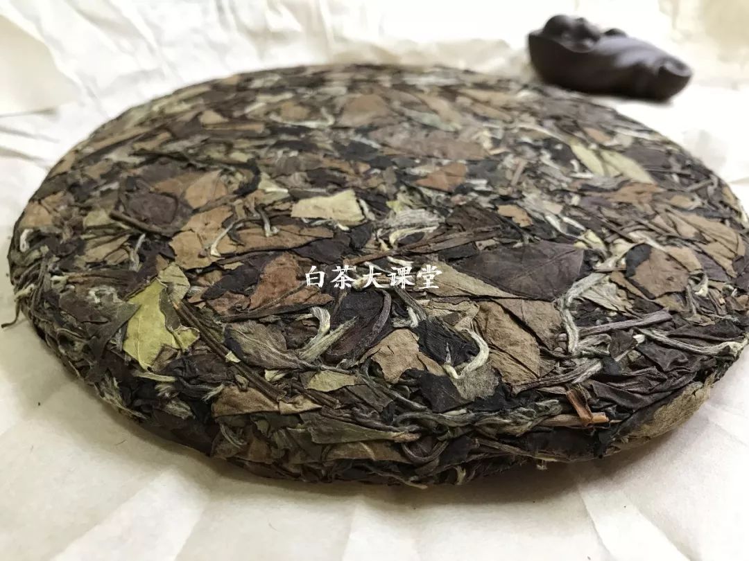 白茶究竟是什么?喜欢茶的你,这三点不妨多看