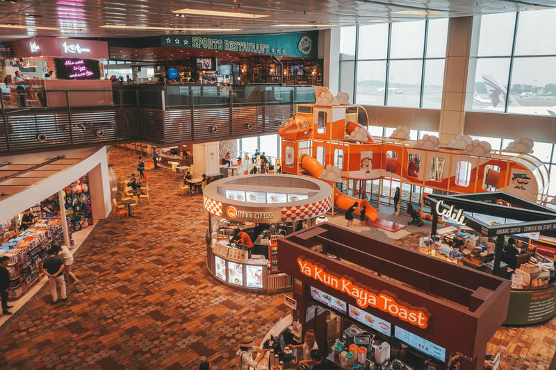 一人一猫环游,一人一猫旅行