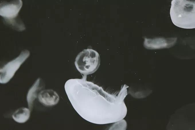 不一样的大阪三日游，瑠璃一束光，值得一来再来