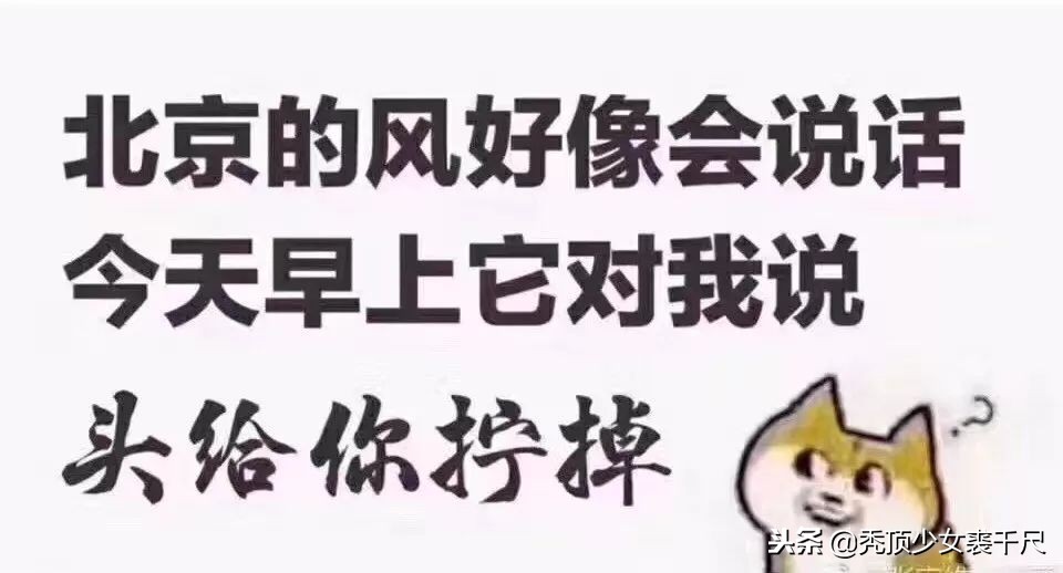 冬天女明星有多不怕冷,哪些明星冬天特别的怕冷