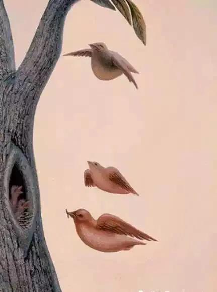 一萱辰语N.01《爱之旅:期待?等待?》