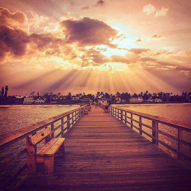 心理治疗师入门书籍哪个好,心理创伤急救培训视频