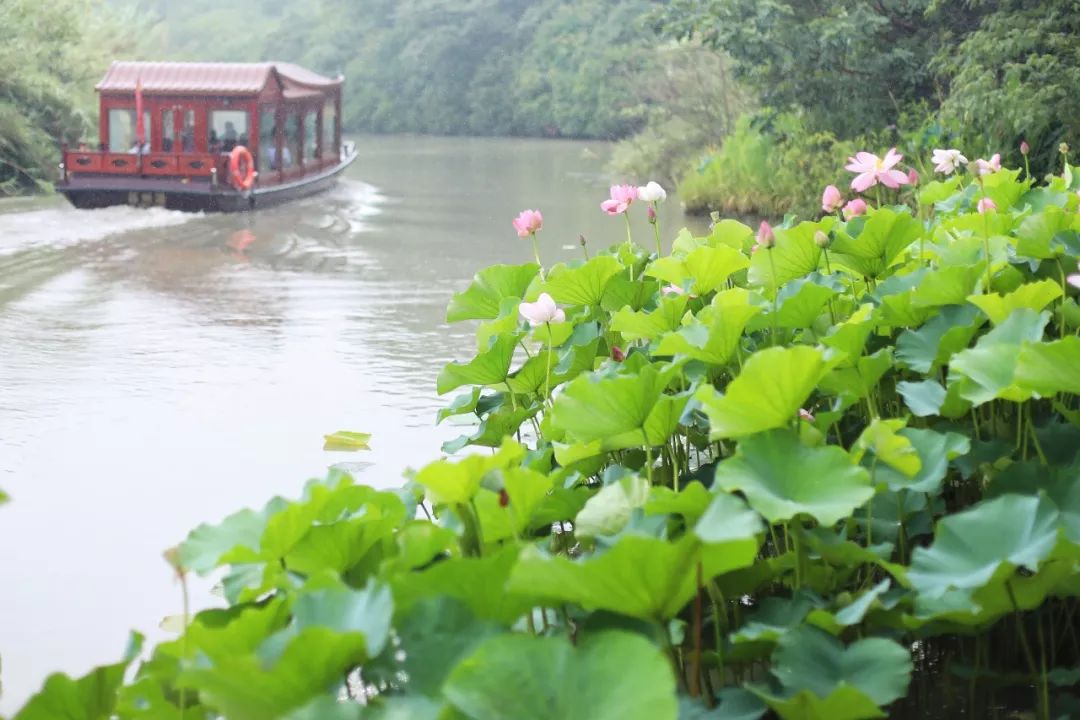 沙家浜旅游民宿有哪些,三月最适合去的最美民宿