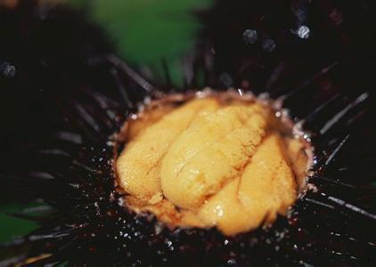 中国城市辽宁,辽宁省大连城市介绍