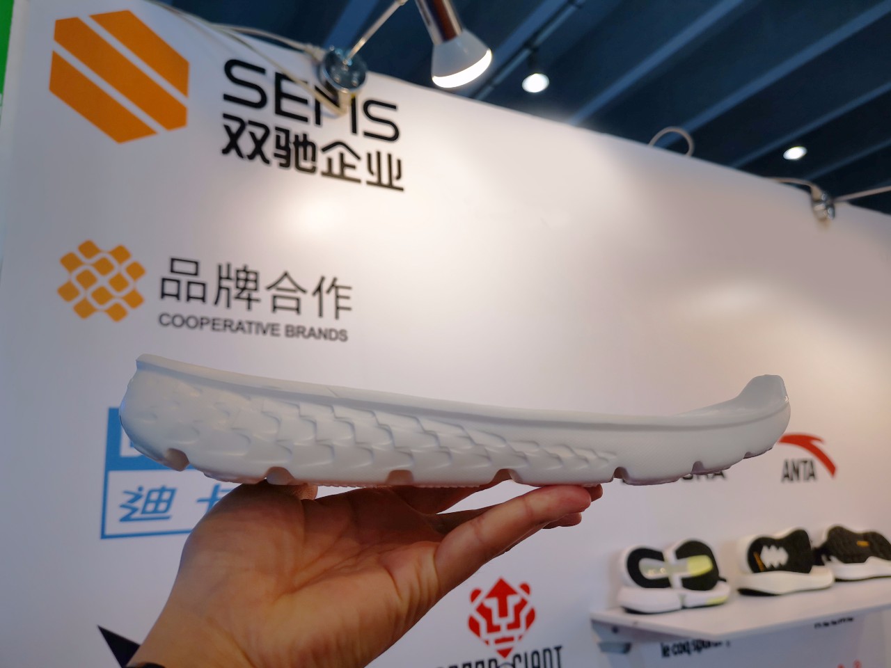 双驰亚展，让爱“步”满整个世界