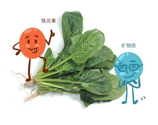 女生贫血应该吃什么枣,贫血者吃红枣能快速补血吗