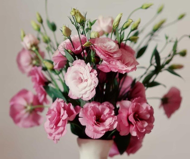 伤寒论一百一十三方临床使用经验,中医药方讲究君臣佐使