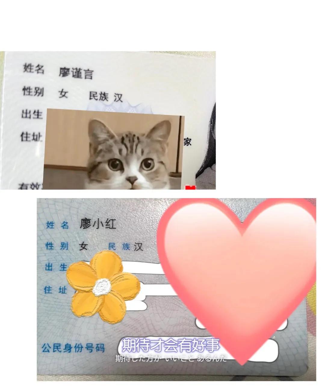 成人改名字需要什么手续,免费改名字不要钱