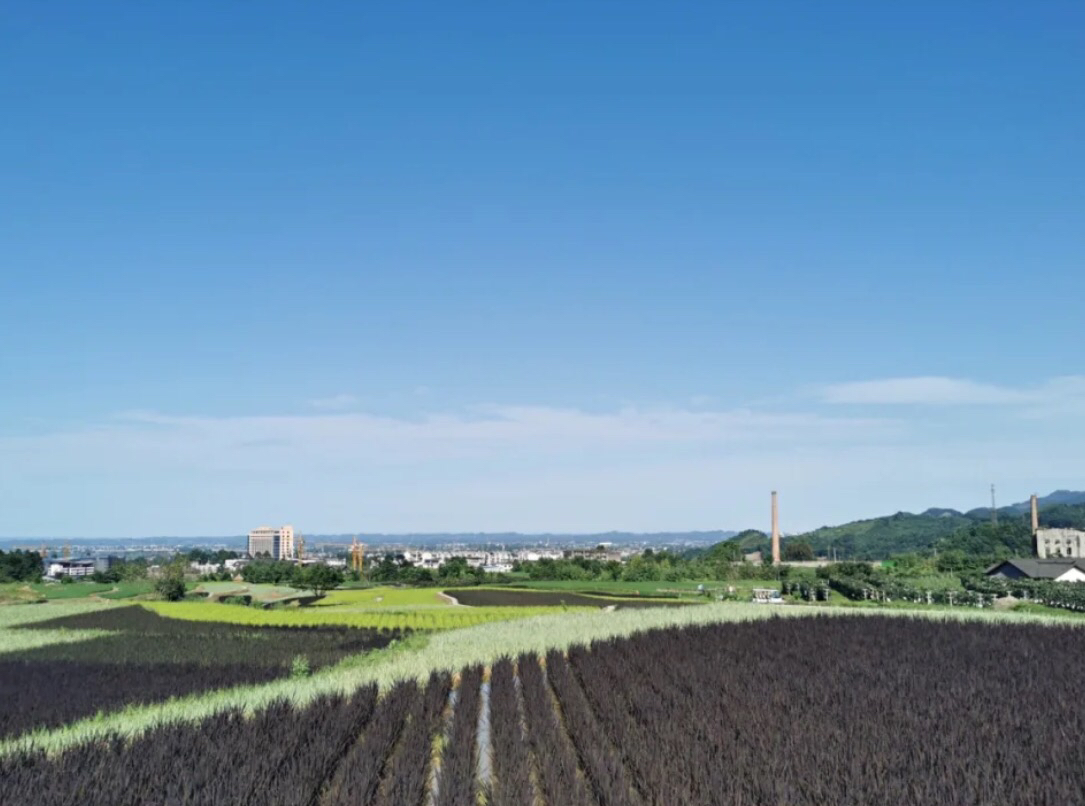 峨眉山低山区景点,峨眉山小众秘境