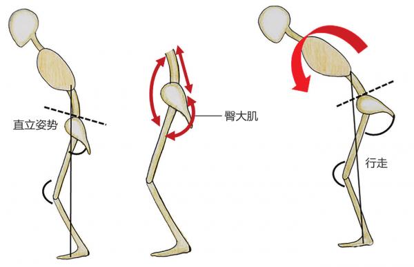 人体平衡分析,健身气功脊柱平衡整套教学视频