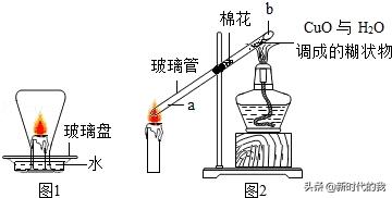 七年级下册科学实验探究题及解析,河北人民出版社四年级科学实验题