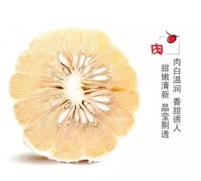 容县沙田柚挑选视频,如何挑选沙田柚视频