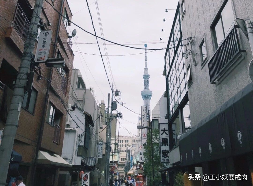 日本攻略自由行大阪,日本自由行攻略东京京都大阪