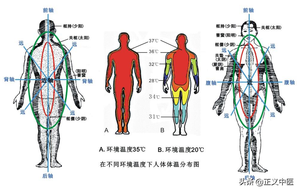 十二经脉和十二正经的区别,十二皮部
