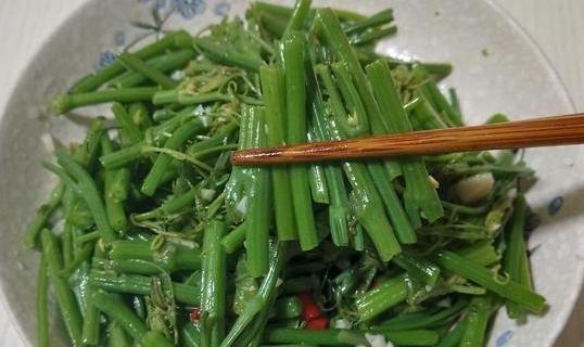 夏天必吃的10道菜最后一道绝了,推荐一款夏天比较适合吃的菜