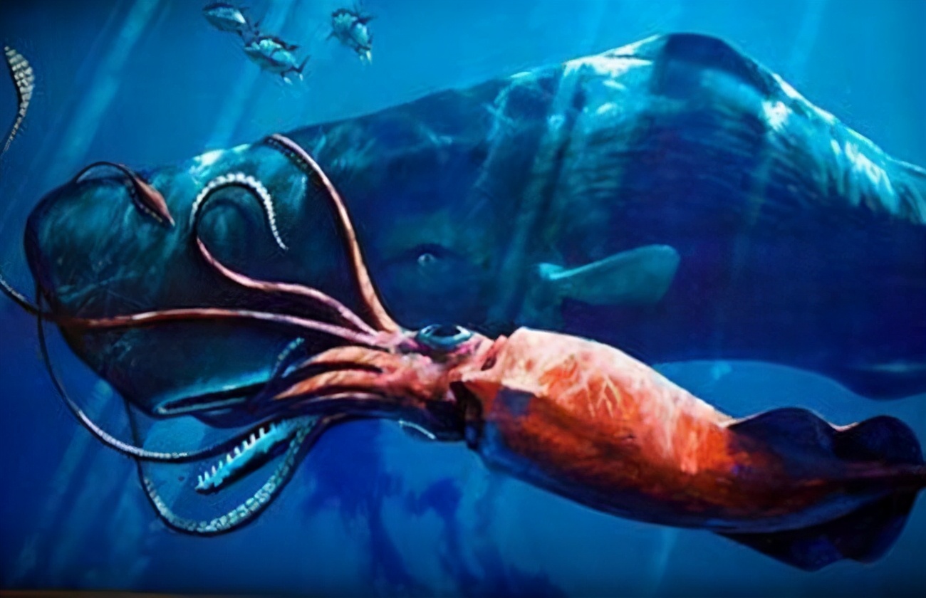 渔民捕鱼捡到龙涎香,捕鱼龙涎香