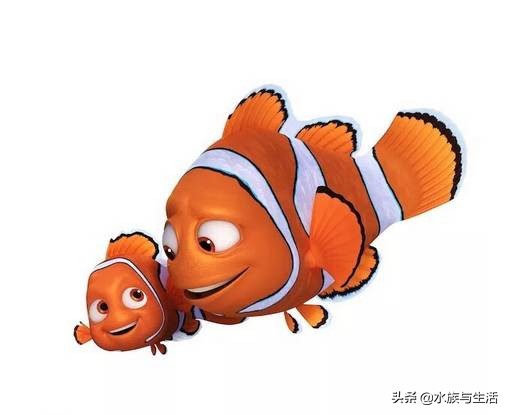 安纳塔汉女王真实身份,安纳塔汉岛女王多大了