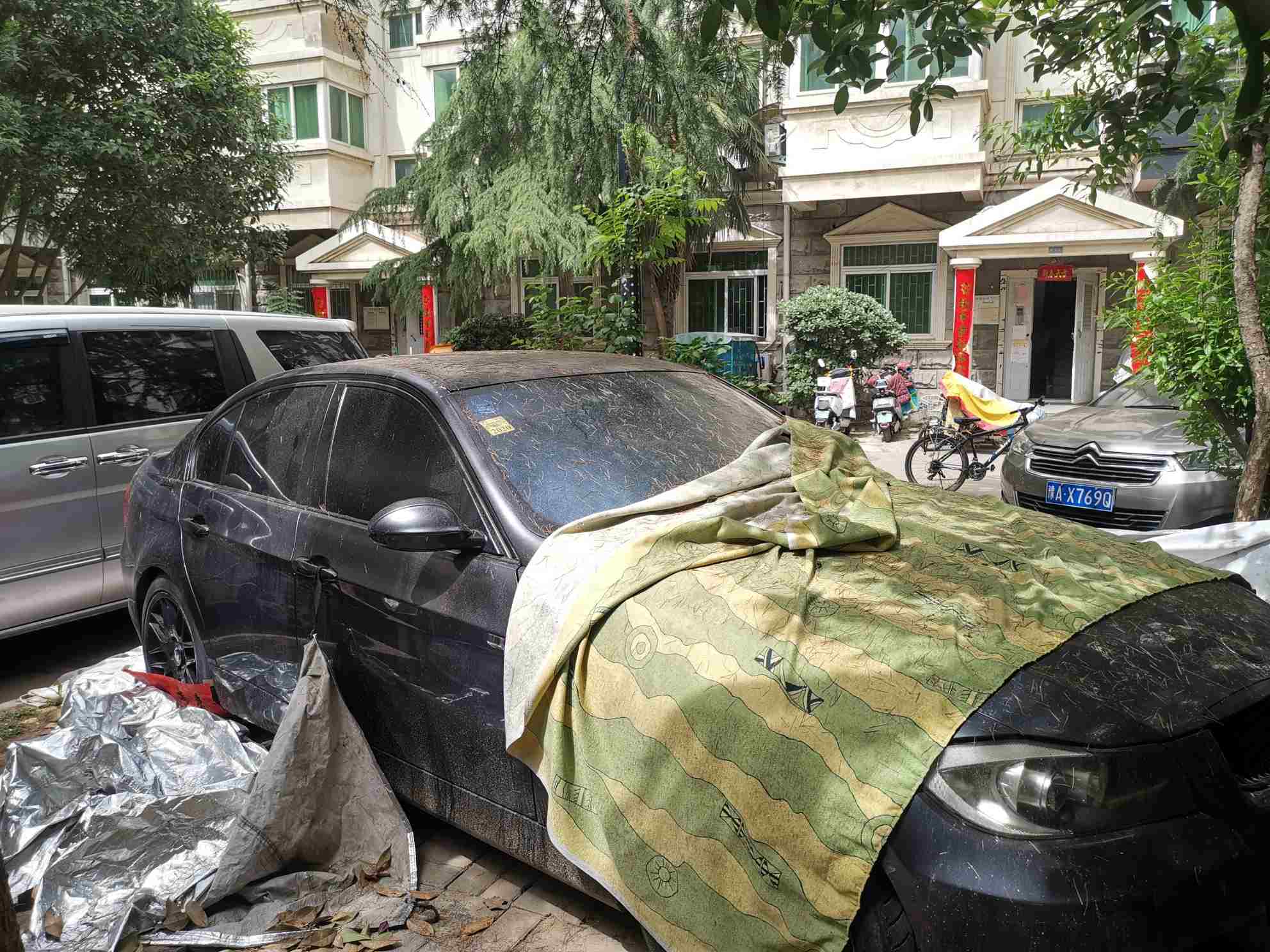 小区树滴油到车上,小区里的风景树滴油是怎么回事