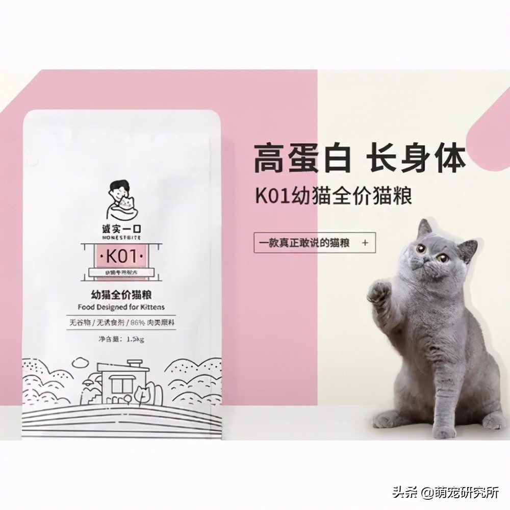 养猫推荐猫粮和猫砂,养猫推荐白色猫粮品牌