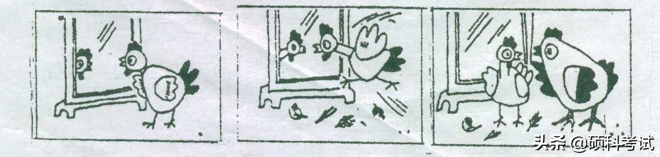 语文看图写话如何练习,一上必考语文看图写话练习题