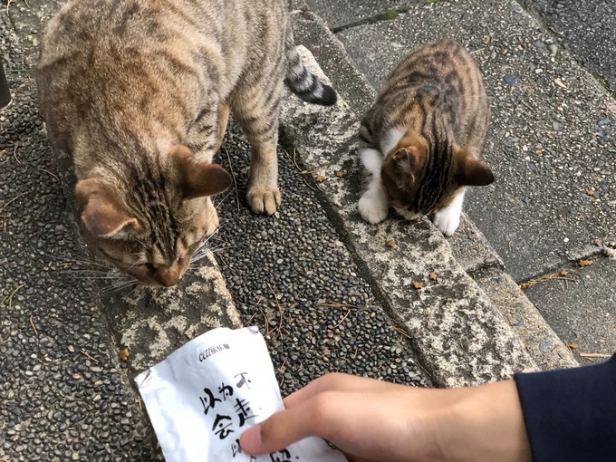 伏见稻荷大社怎么去清水寺,伏见稻荷大社到清水寺远吗