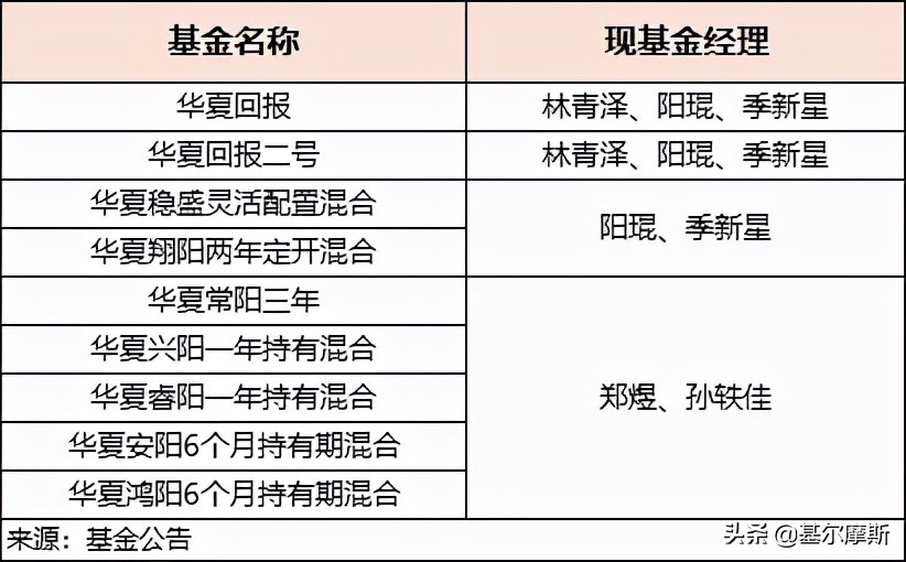 紧急接棒的阳琨、季新星、郑煜、孙轶佳是怎样的？