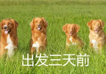 沙巴仙境一日游,沙巴室内一日游