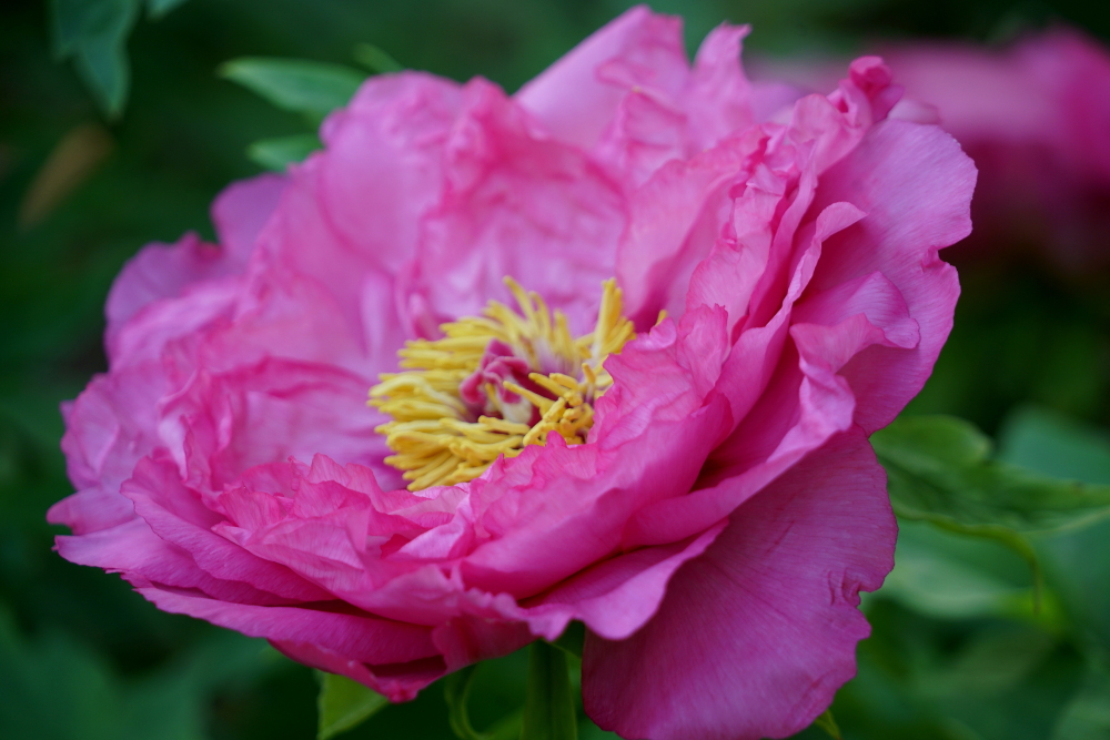 c调口琴太湖美,口琴c调太湖美