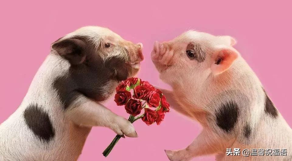 今天3月10，我的妈呀！谁编的，太好笑了，给群里乐一乐