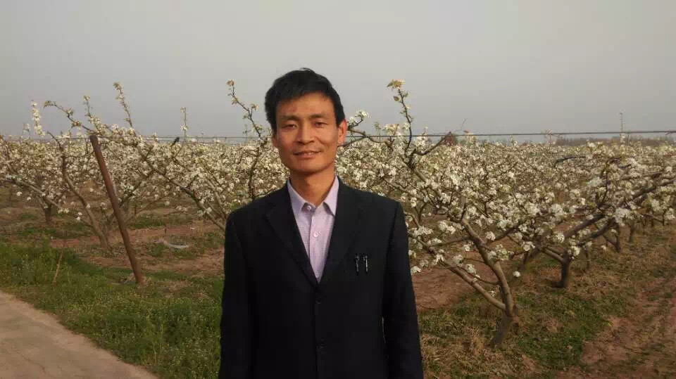 种韭菜一定要相信科学,韭菜可以反复种植吗