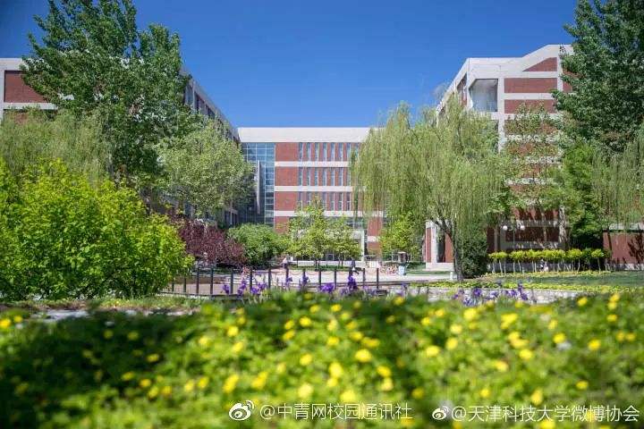 欣然老师指导志愿二本上线同学录取情况（二）