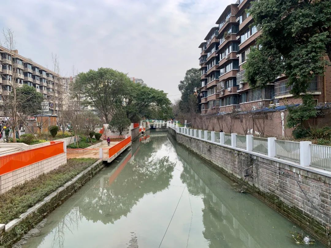 成都绿道风景美如画,成都周边哪条河边绿道最美