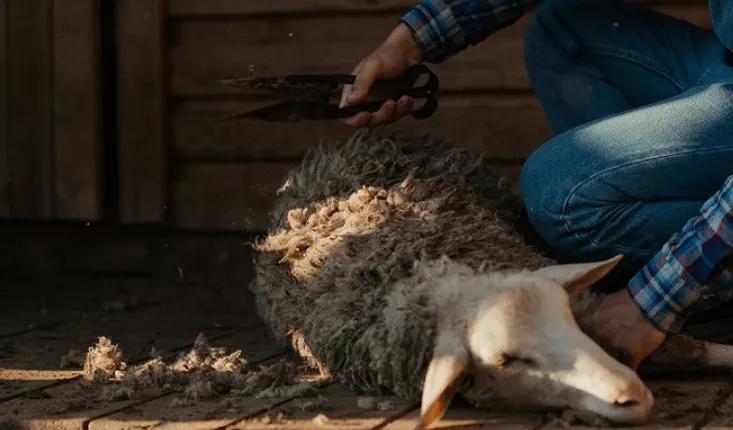 萤火创业笔记,萤火计划新消息