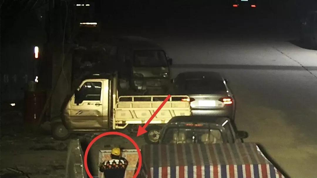 三笨贼偷桔子,三蠢贼