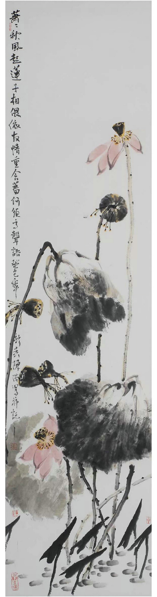 陈浩：卷舒开合任天真