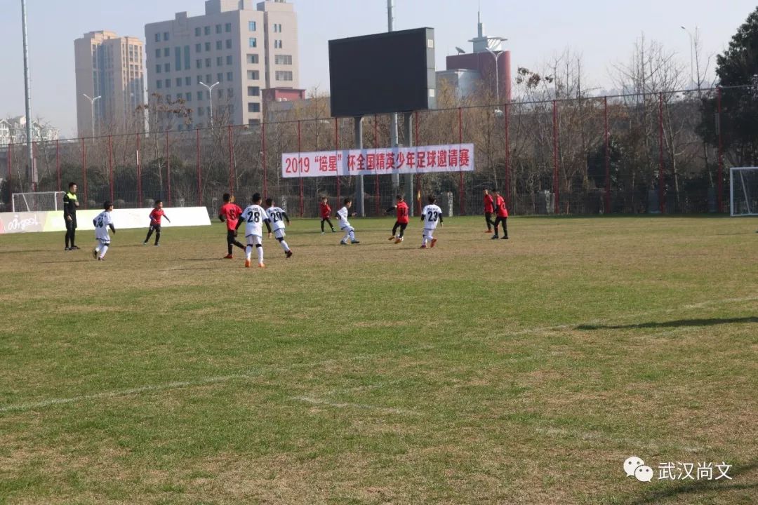 2020青训杯全国青少年足球冠军赛,2019育星杯比赛