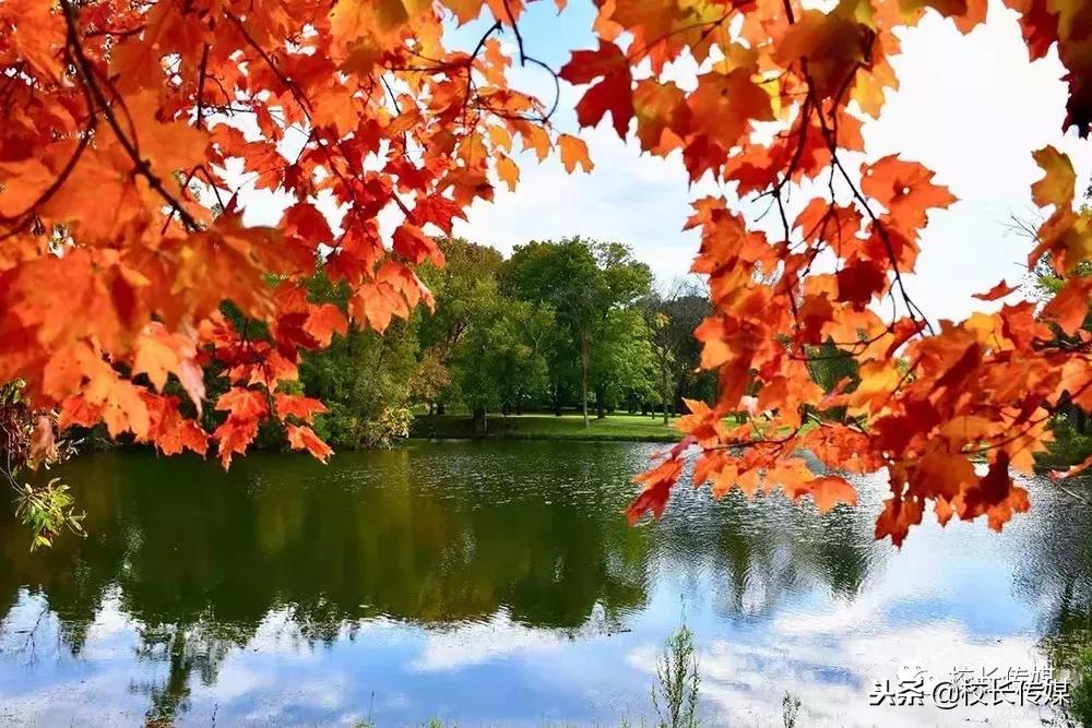 权威遭遇,权威的位置